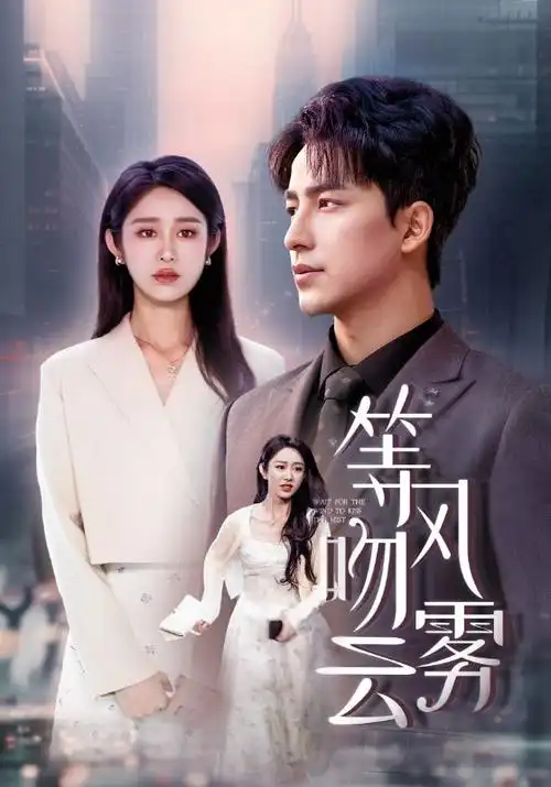雾港纪事 第二季在线观看
